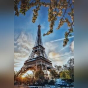 Elegant Fashion/Affordable Prices